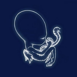 Agaetis Byrjun
