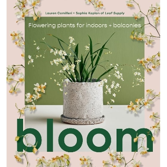 Bloom image 0