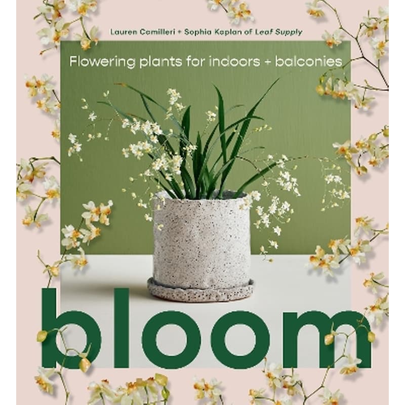 Bloom
