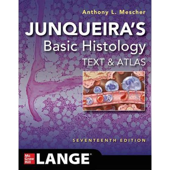 Junqueira's Basic Histology: Text and Atlas, Seventeenth Edition image 0