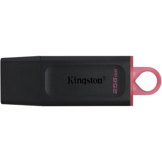Kingston DataTraveler 256GB USB 3.2 - Μαύρο image 0