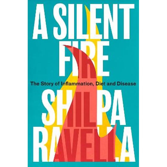 Silent Fire image 0