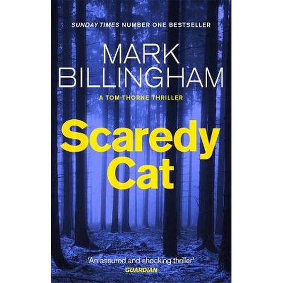 Scaredy Cat image 0