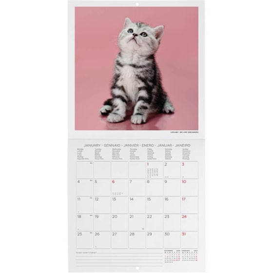 Ημερολόγιο Τοίχου Μηνιαίο 2027 Legami 12M Kittens 18 x 18 cm image 1