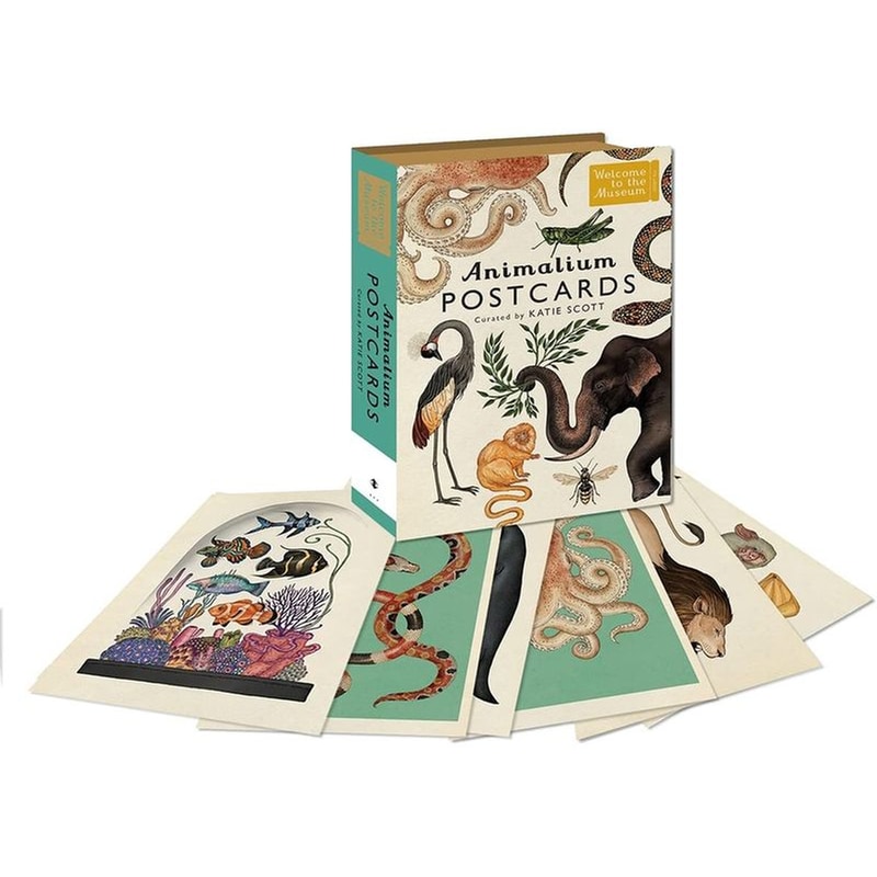 Animalium Postcards Welcome To The Museum by Katie Scott
