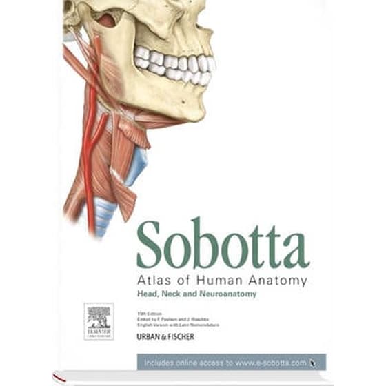Sobotta Atlas of Anatomy Volume 3 Head, Neck and Neuroanatomy image 0