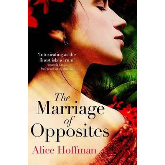 The Marriage of Opposites image 0