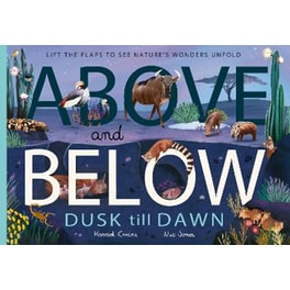 Above and Below: Dusk till Dawn