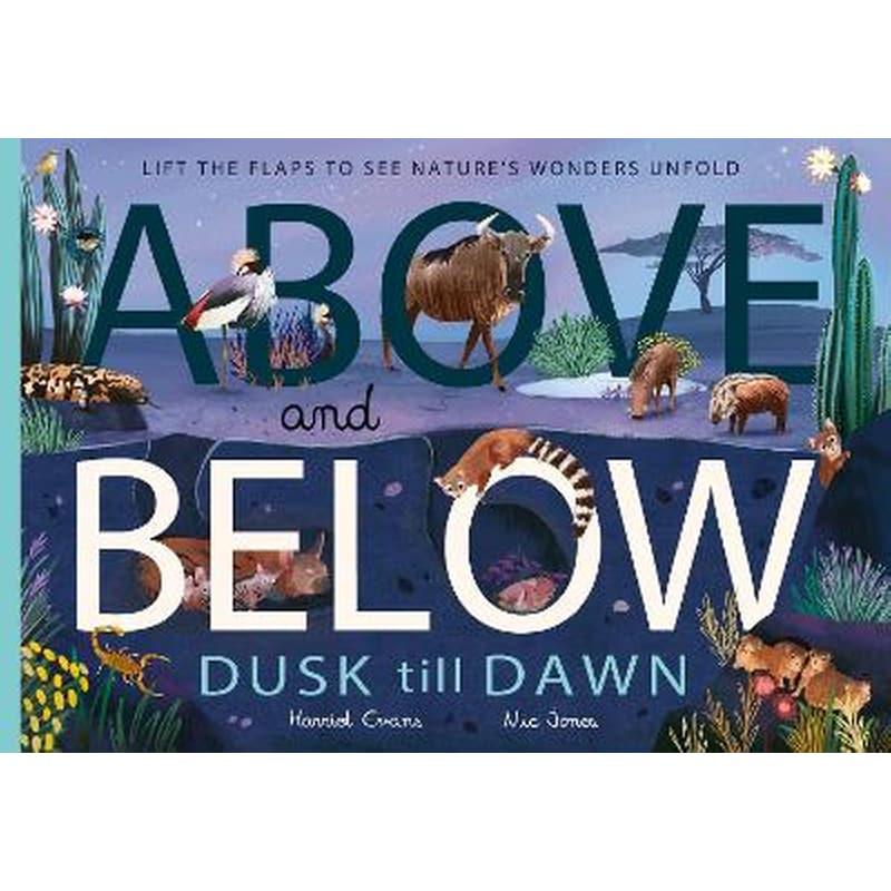 Above and Below: Dusk till Dawn