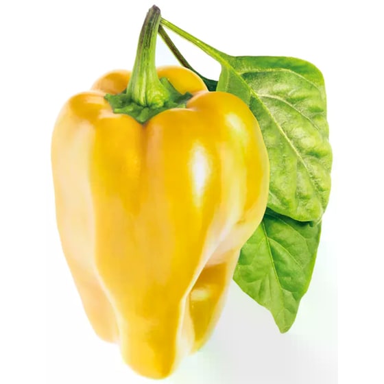 Κάψουλες Click and Grow 3 Τμχ - Κίτρινη Γλυκιά Πιπεριά image 1