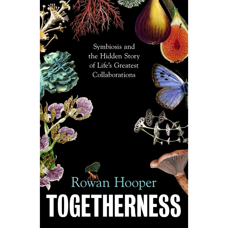 Togetherness