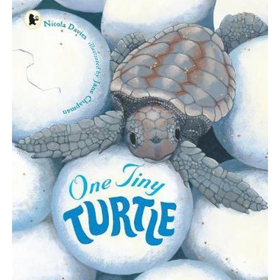 One Tiny Turtle image 0