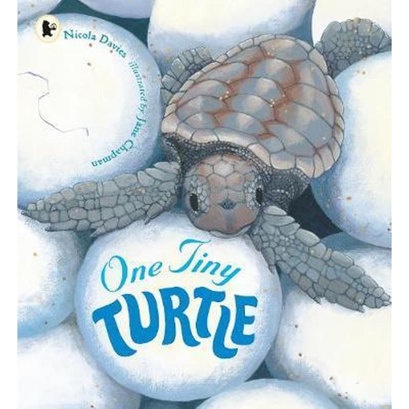 One Tiny Turtle