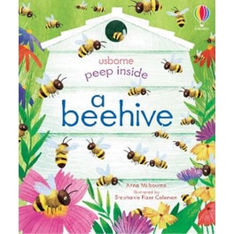 Peep Inside a Beehive