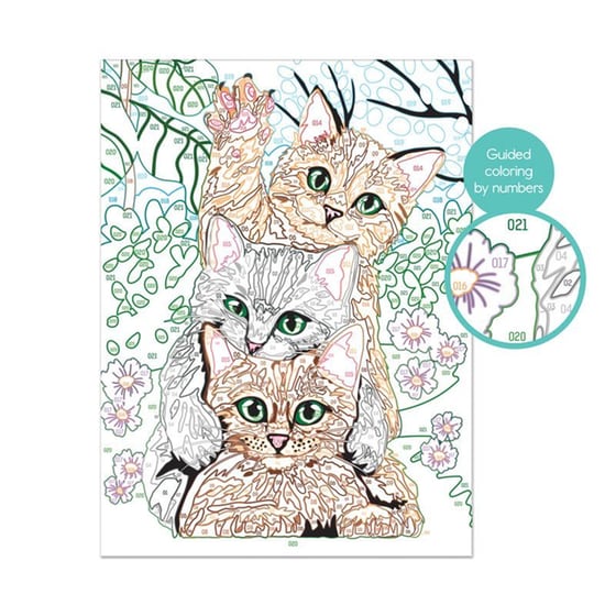 AS Company Paint & Frame Ζωγραφίζω Με Αριθμούς Funny Kitties image 2