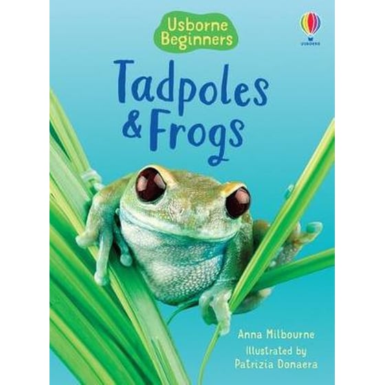 Tadpoles and Frogs image 0
