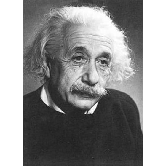 Einstein Notebook image 0