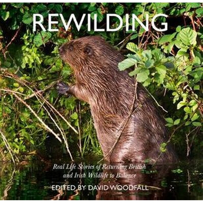 Rewilding