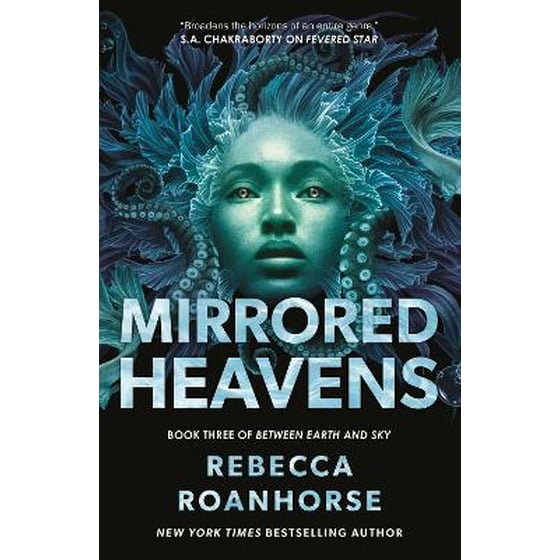 Mirrored Heavens image 0