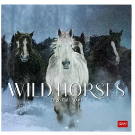 Ημερολόγιο Τοίχου Legami 2026 Wild Horses 30x29cm