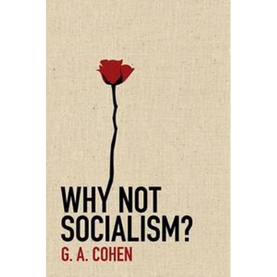 Why Not Socialism? image 0