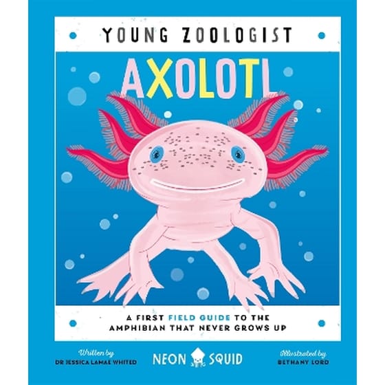 Axolotl (Young Zoologist) image 0