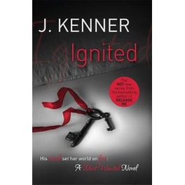 Ignited: Most Wanted Book 3
