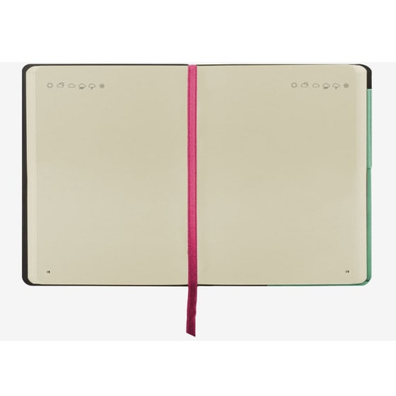 Σημειωματάριο Legami My Notebook Plain - Large image 2