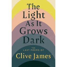 The Light as it Grows Dark