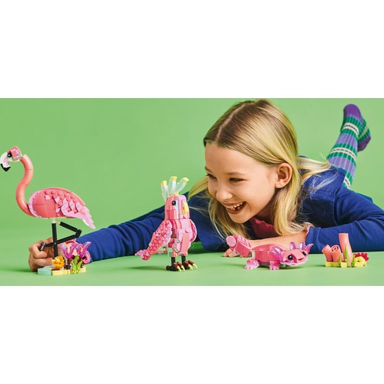 LEGO® Creator 3σε1 Άγρια Ζώα: Ροζ Φλαμίνγκο (31170) image 4