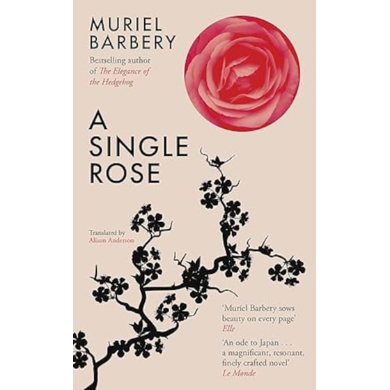 A Single Rose image 0