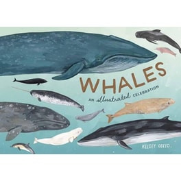 Whales