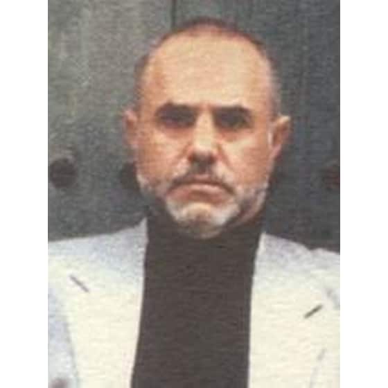 Μέδουσα από σμάλτο image 1