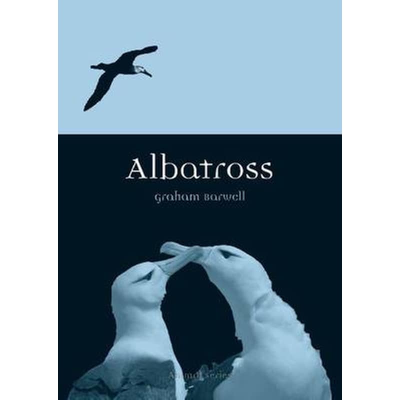 Albatross