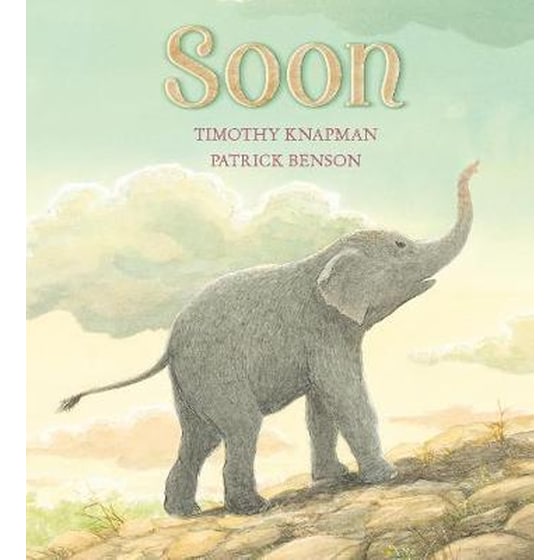Soon image 0
