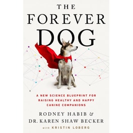 The Forever Dog