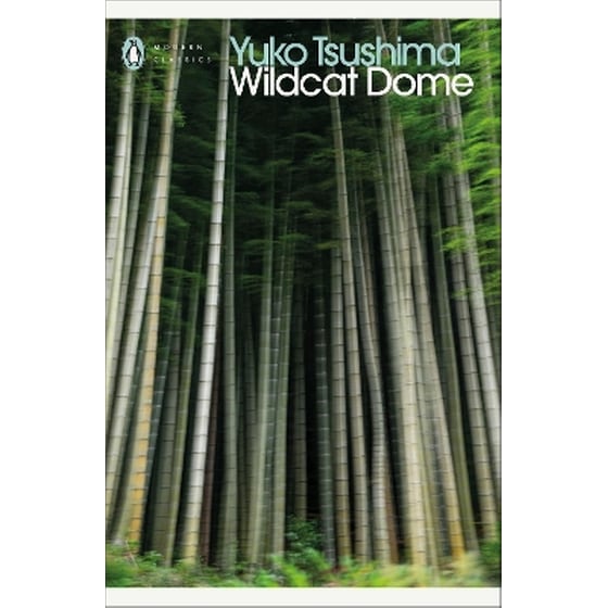 Wildcat Dome image 0