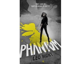 Phantom image 0