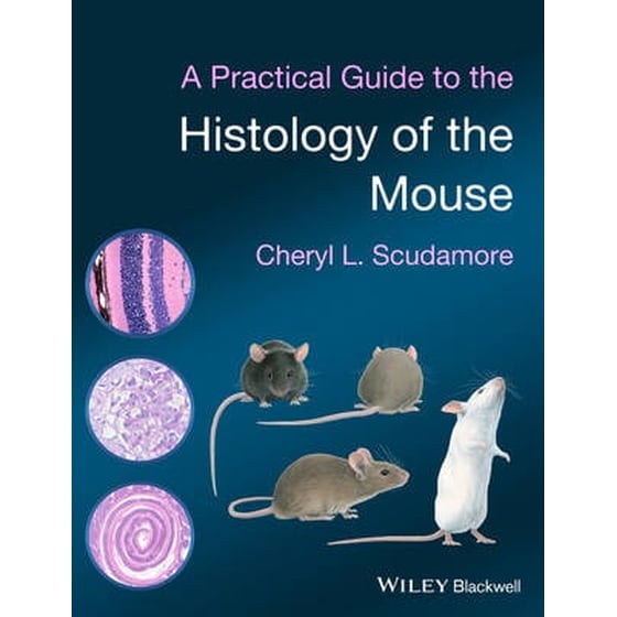 A Practical Guide to the Histology of the Mouse image 0