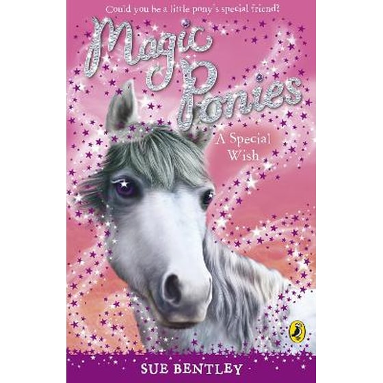 Magic Ponies- A Special Wish image 0