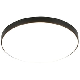 Trio Lighting Πλαφονιέρα Οροφής Μπάνιου Μαύρη
