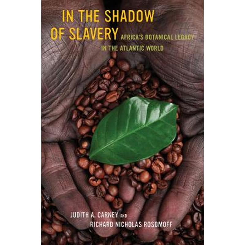 In the Shadow of Slavery