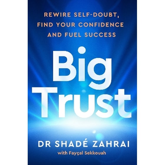 Big Trust image 0