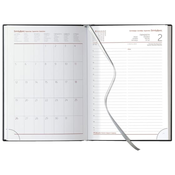 Ημερολόγιο Θεοφύλακτος Ημερήσιο 2019 Borneo Κόκκινο Medium image 2