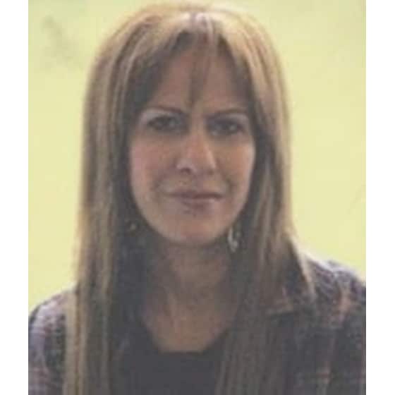 Το σπίτι με τους πέτρινους αετούς image 1