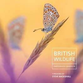 British Wildlife Photography Awards 12