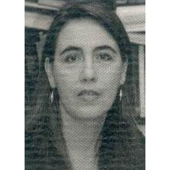 Σύρος και Ερμούπολη image 1