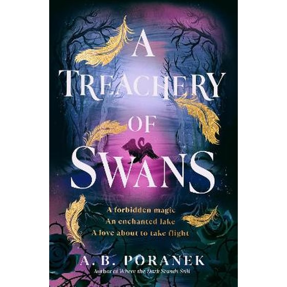A Treachery of Swans image 0