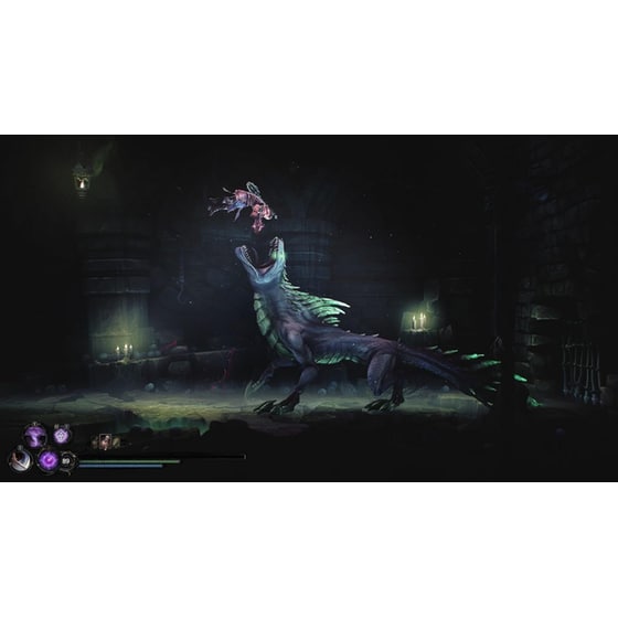 Mandragora: Whispers of the Witch Tree - Collector´s Edition - PS5 image 6