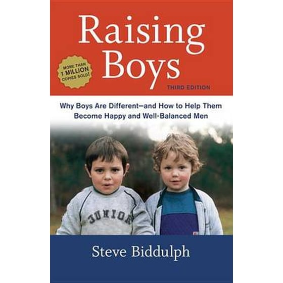 Raising Boys image 0